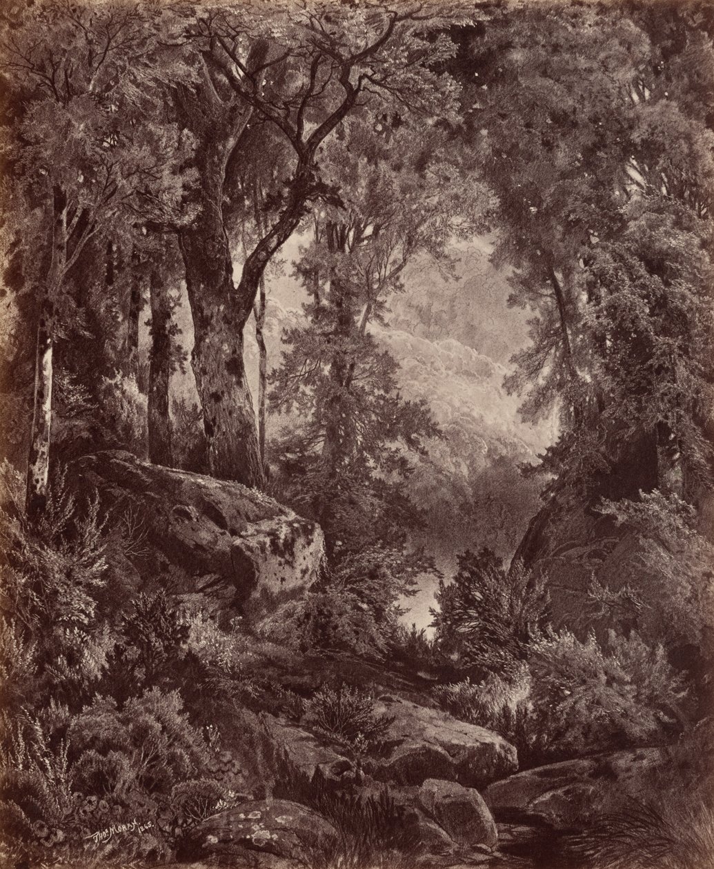 Solitude,1865 (fénykép) alkotó: John Moran