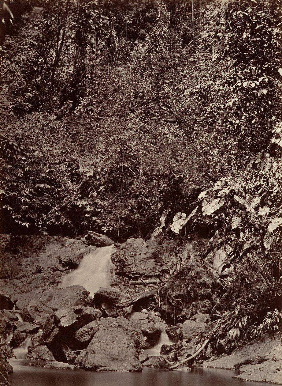 Trópusi táj, Cascade, Limon River, 1871. alkotó: John Moran