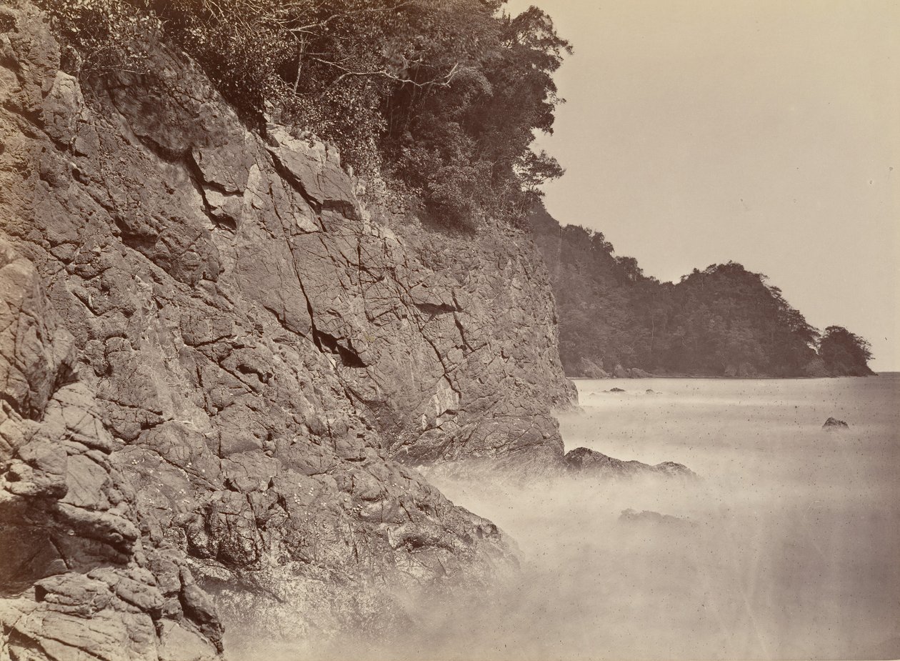 Trópusi táj, Cliff - Limon Bay, 1871. alkotó: John Moran
