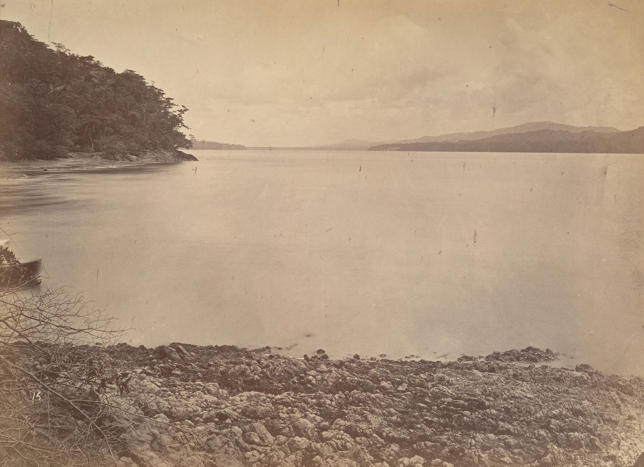 Trópusi táj, Darien kikötője – Délre nézve, 1871. alkotó: John Moran