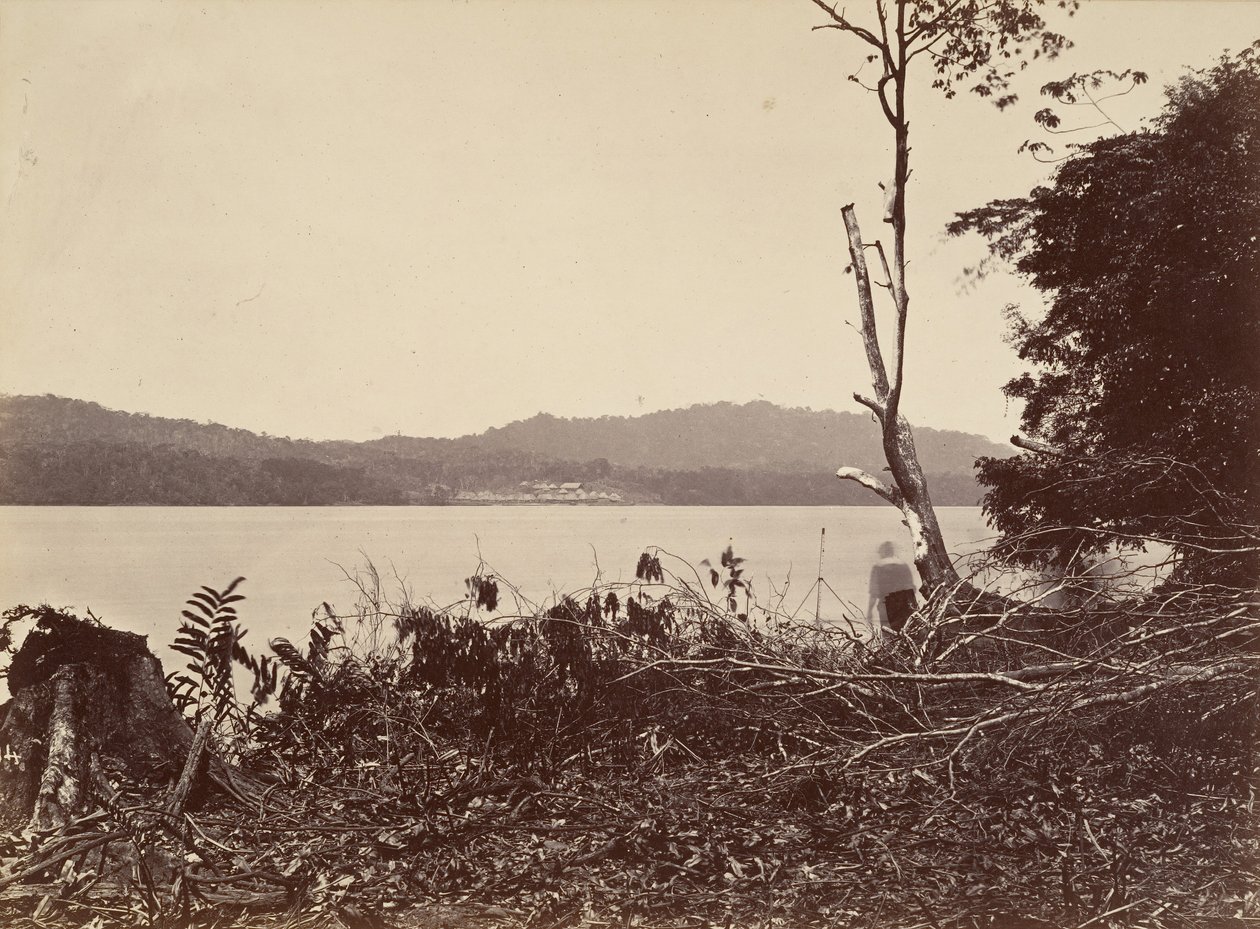 Trópusi táj, Darien Harbour, Chipigana, 1871. alkotó: John Moran