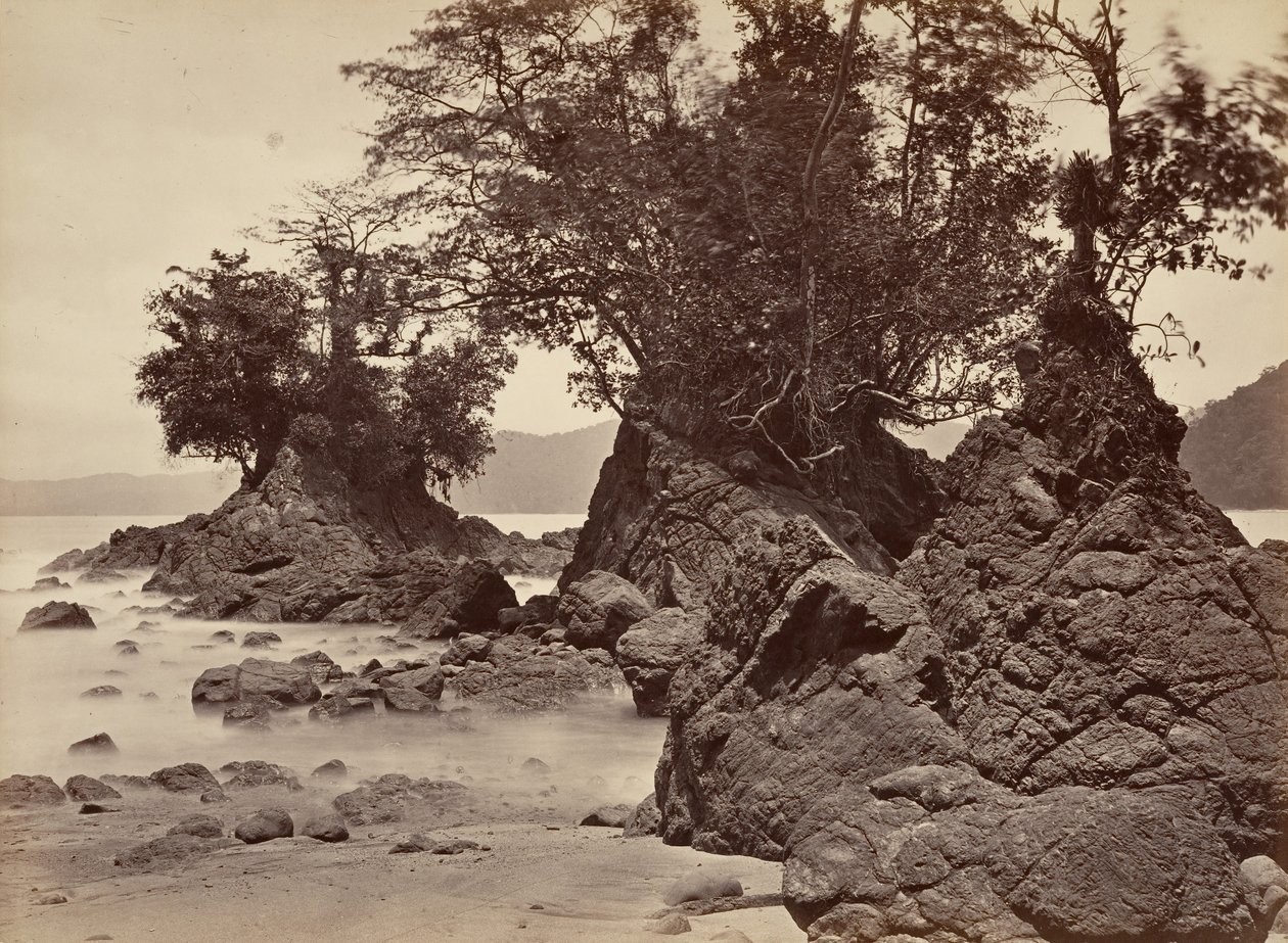 Trópusi táj, Limon Bay – apály, 1871. alkotó: John Moran
