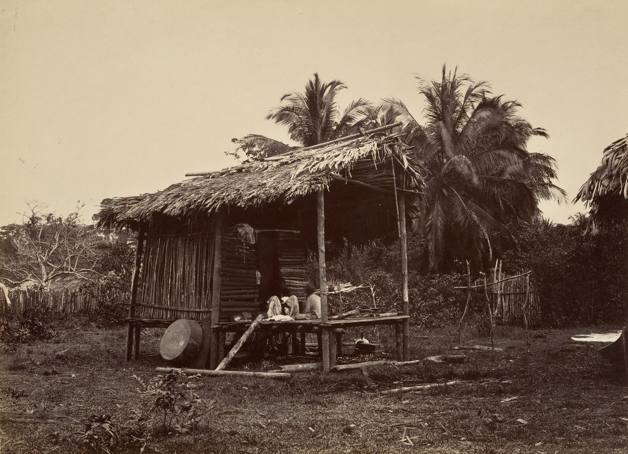 Trópusi táj, Native Hut, Turbo, 1871. alkotó: John Moran
