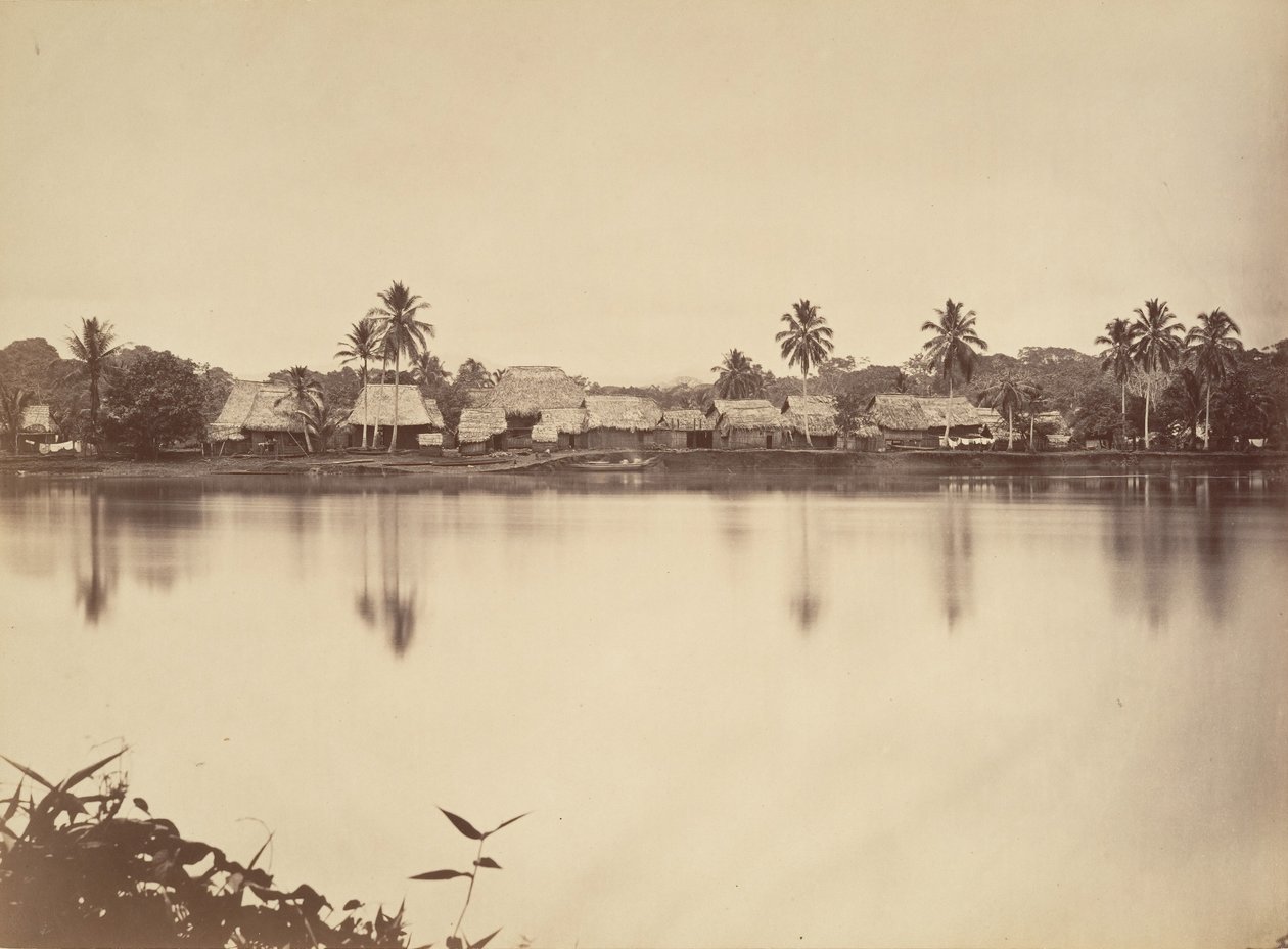Trópusi táj, Santa Maria del Real, Darien, 1871. alkotó: John Moran