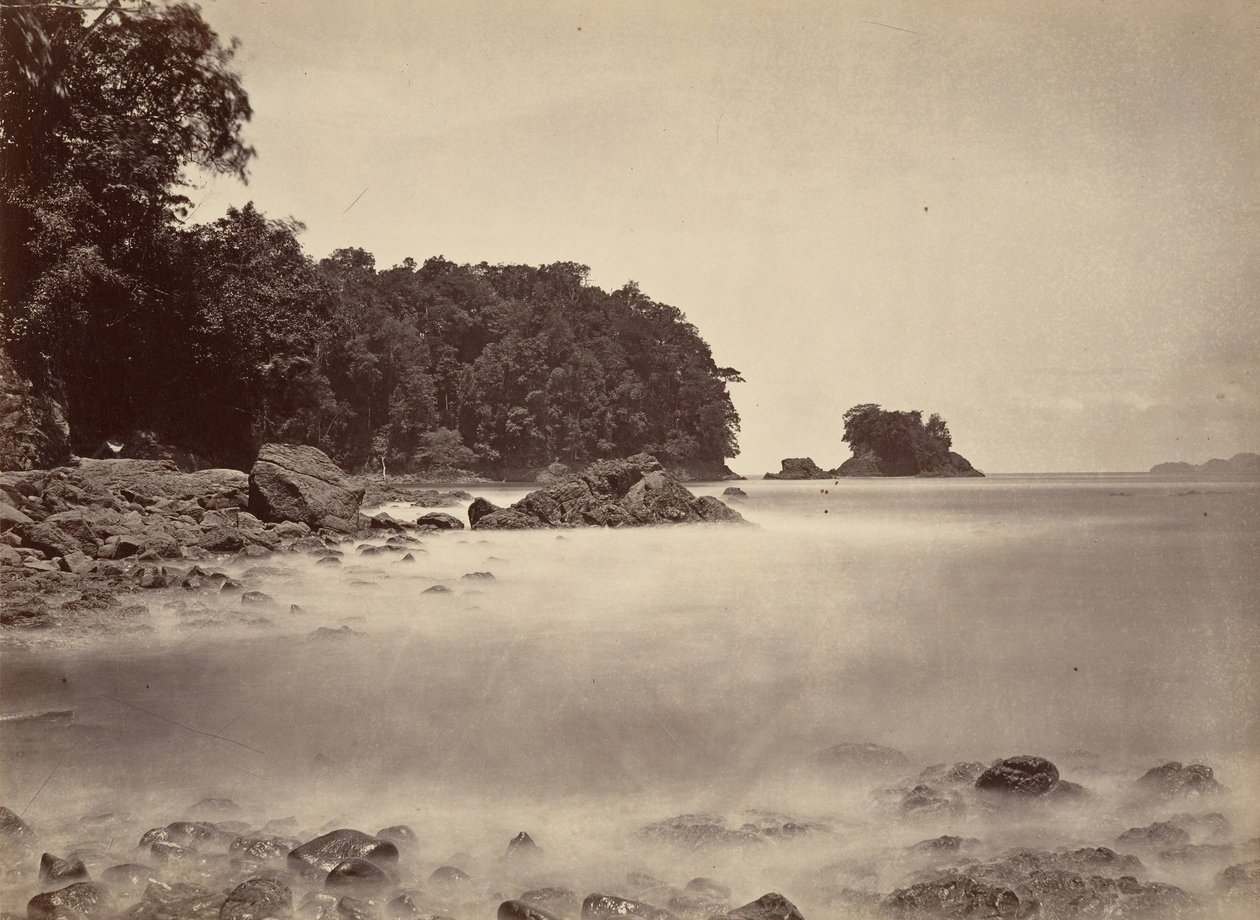 Trópusi táj, kilátás a Limon-öbölre, 1871. alkotó: John Moran