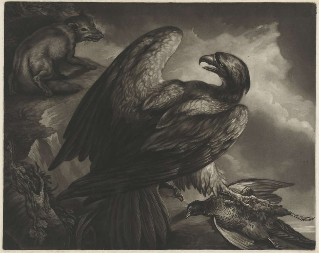 Sas és Róka alkotó: John Murphy after James Northcote