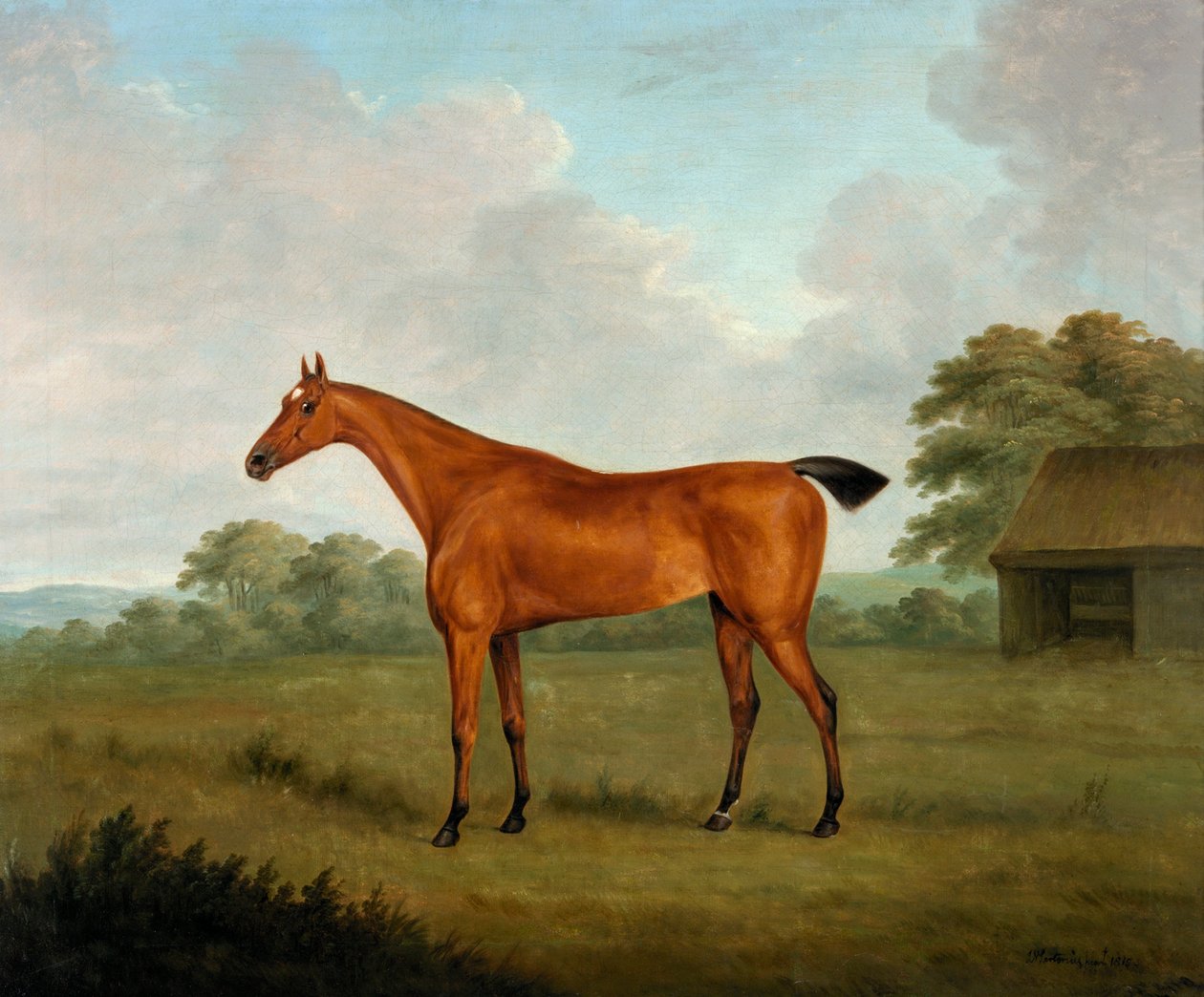 Gesztenye ló tájban, 1815 alkotó: John Nott Sartorius