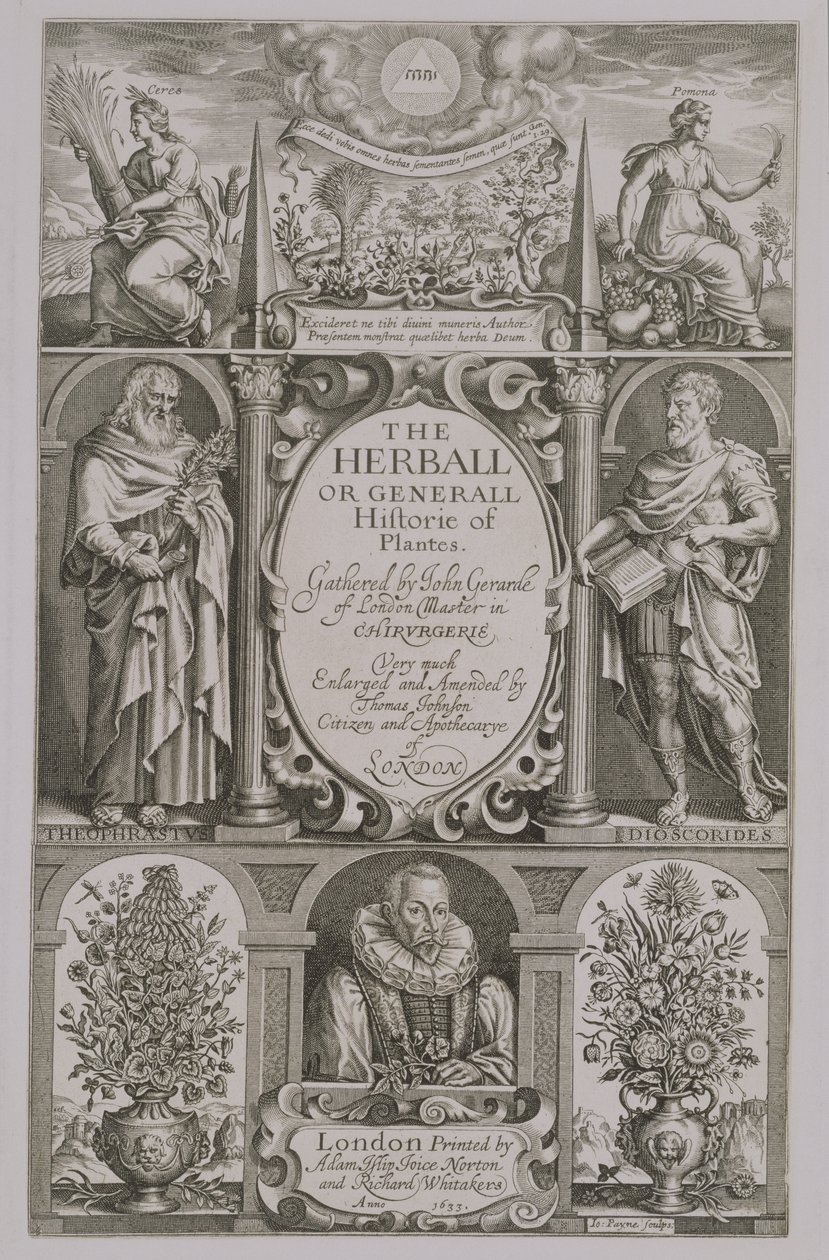 Címlap a The Herball második kiadásához, John Gerard (1564-1612) 1633 alkotó: John Payne
