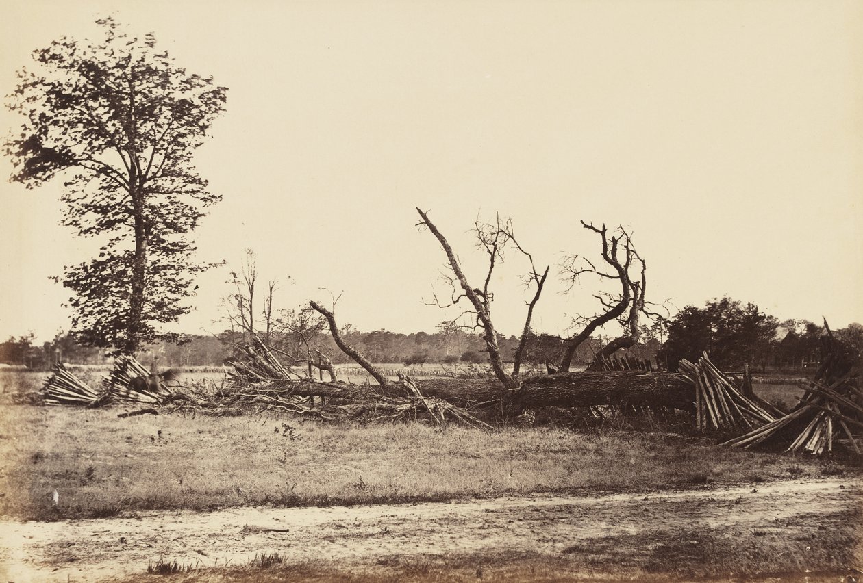 Extreme Line of Confederate Works, Cold Harbor., 1865. április (albumin nyomat szőtt papírra rögzítve) alkotó: John Reekie