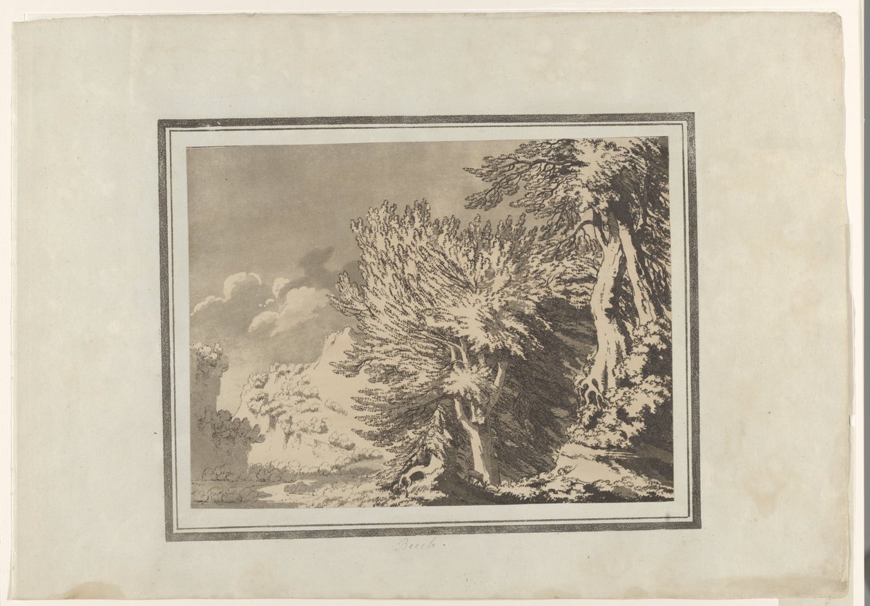 Bükkfa alkotó: John Robert Cozens