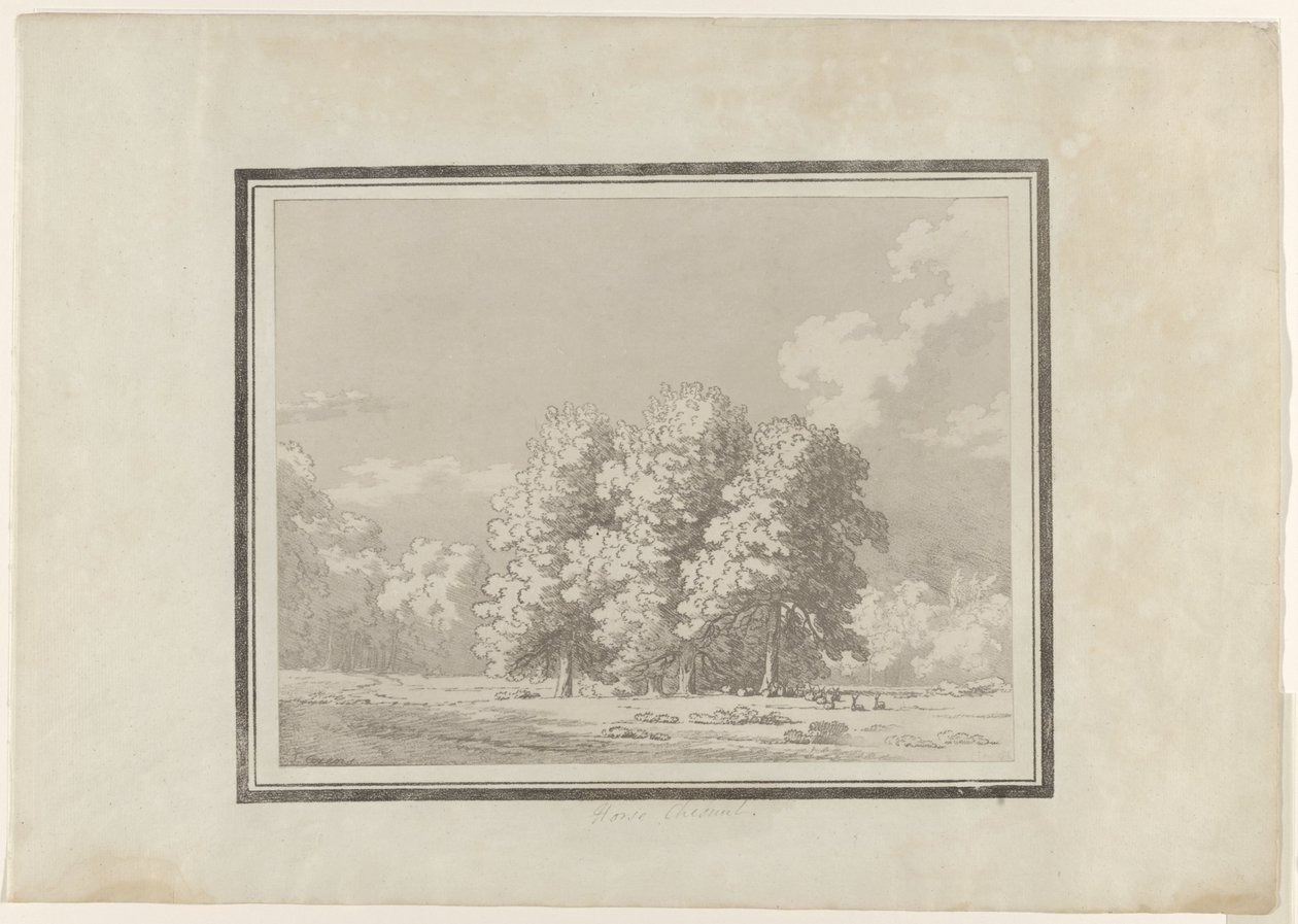 Vadgesztenye alkotó: John Robert Cozens