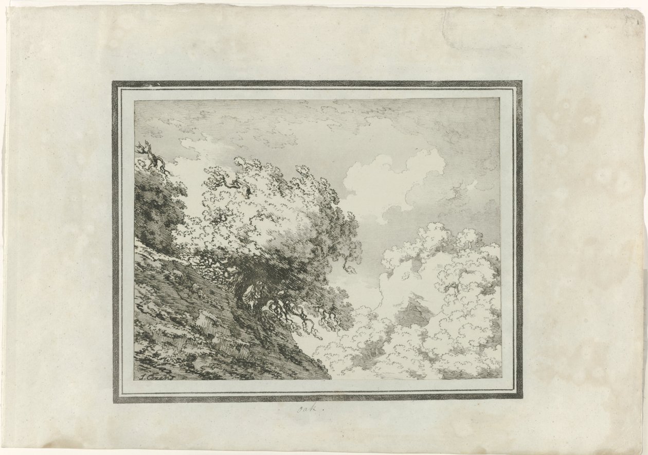 Tölgy alkotó: John Robert Cozens