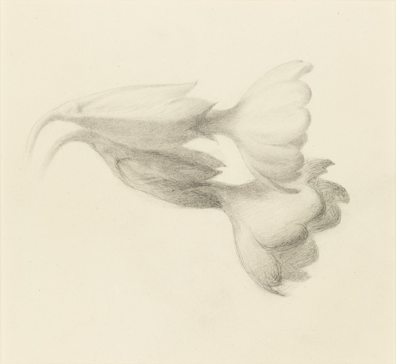 Cowslip Bells, valószínűleg 1871. alkotó: John Ruskin