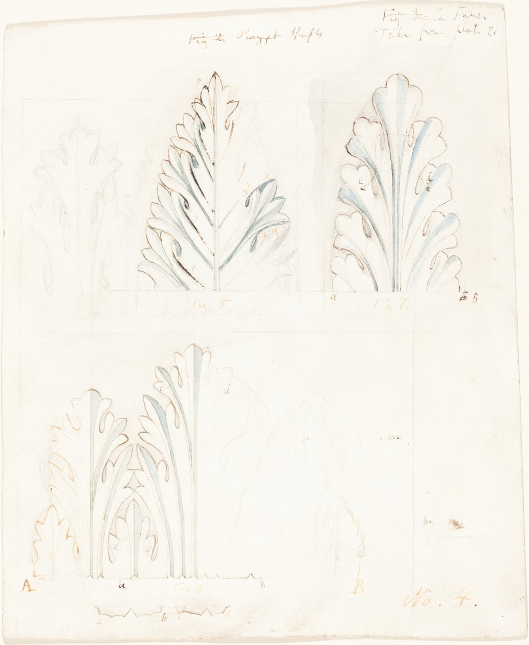 Díszítő tanulmány Acanthus-motívummal a „Velence köveihez” alkotó: John Ruskin