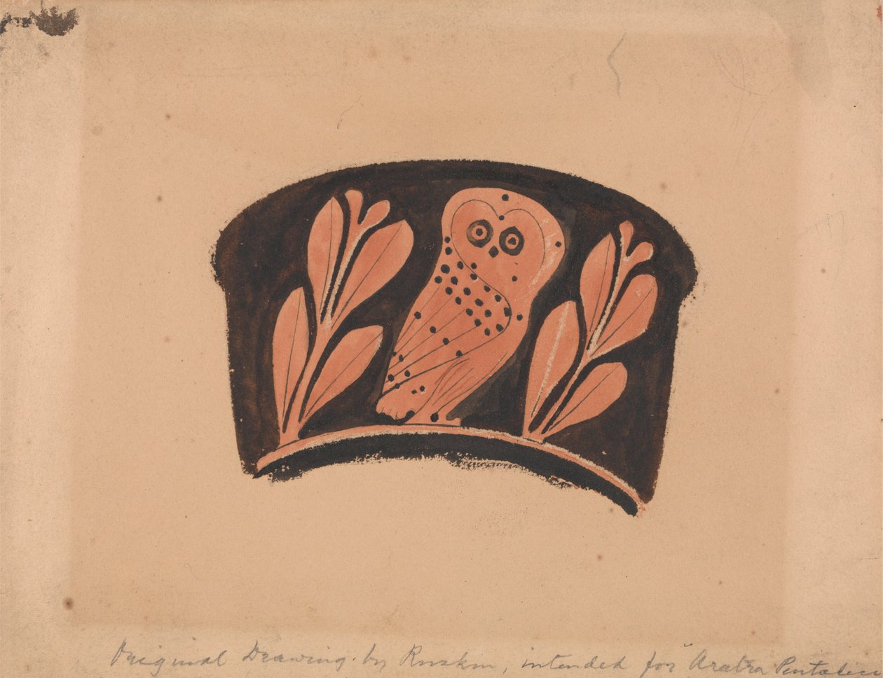 Bagoly, egy padlás Kantharos után alkotó: John Ruskin