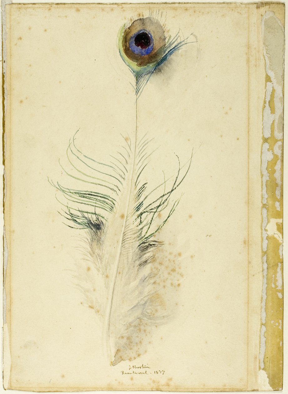 Pávatoll alkotó: John Ruskin