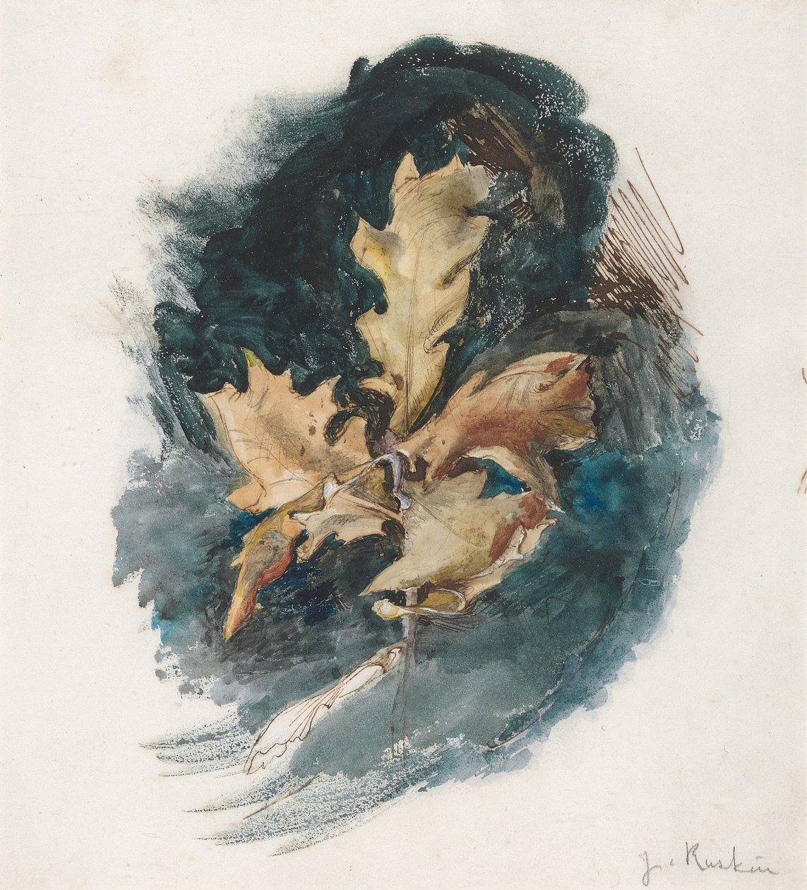 Egy tölgylevél vizsgálata alkotó: John Ruskin