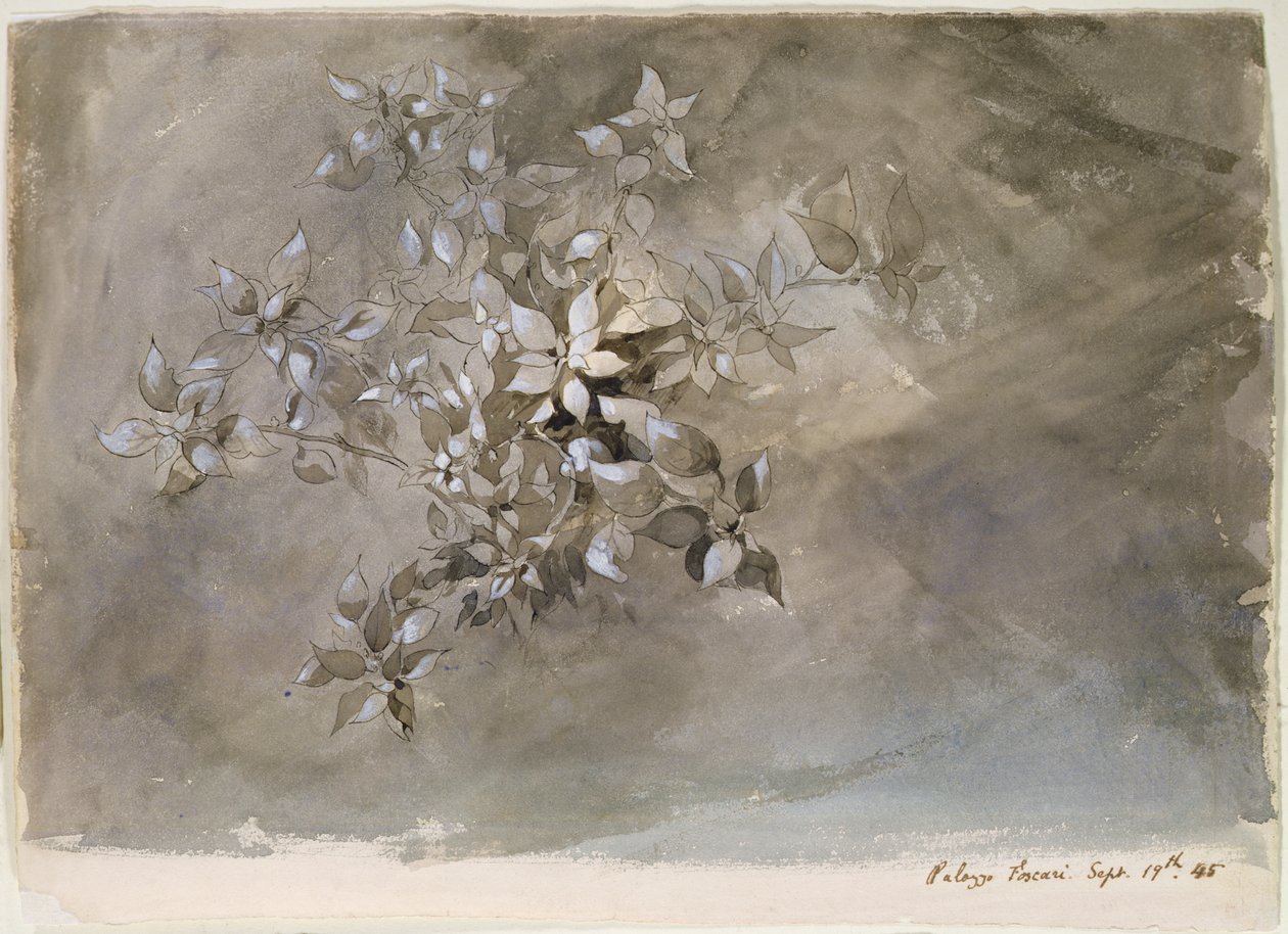 A lombozat tanulmányozása alkotó: John Ruskin