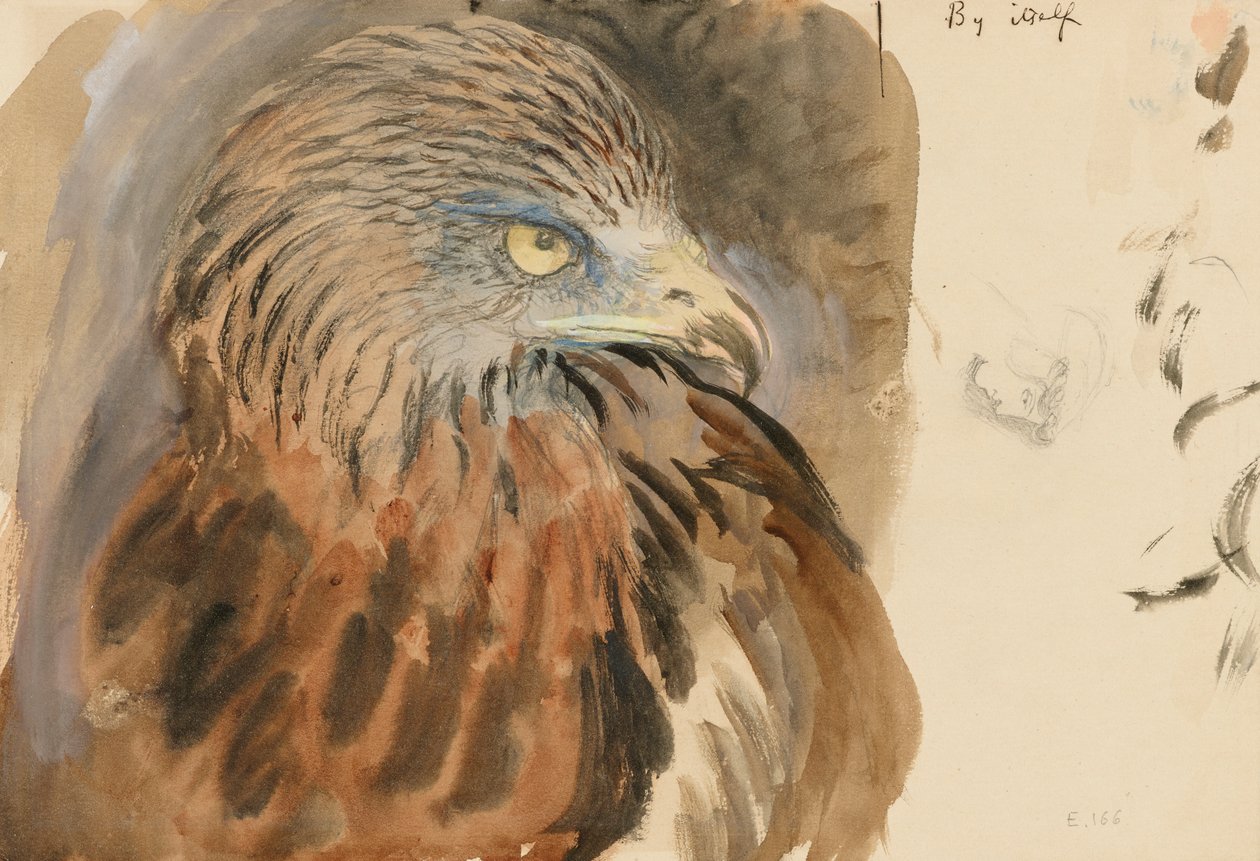 A sárkány feje, az Életből, 1870. augusztus 30. és szeptember 1. (akvarell és testfesték grafit felett halványbarna szőtt papíron) alkotó: John Ruskin