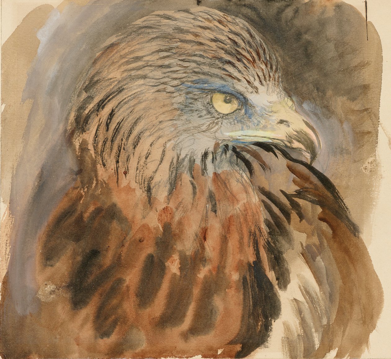 A sárkány feje, az Életből, 1870. augusztus 30-tól szeptember 1-ig. alkotó: John Ruskin