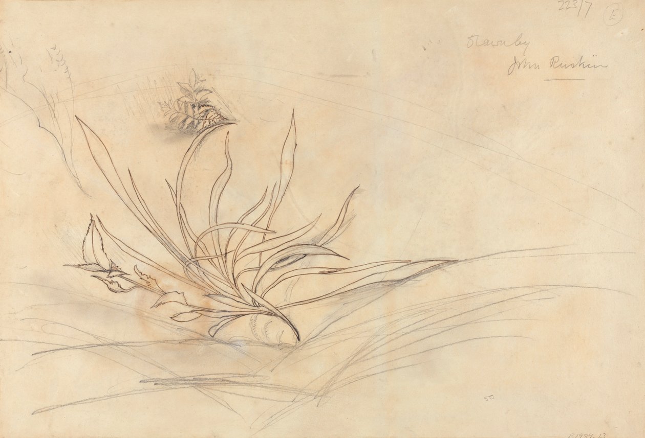 Egy folyó sziklás partja alkotó: John Ruskin