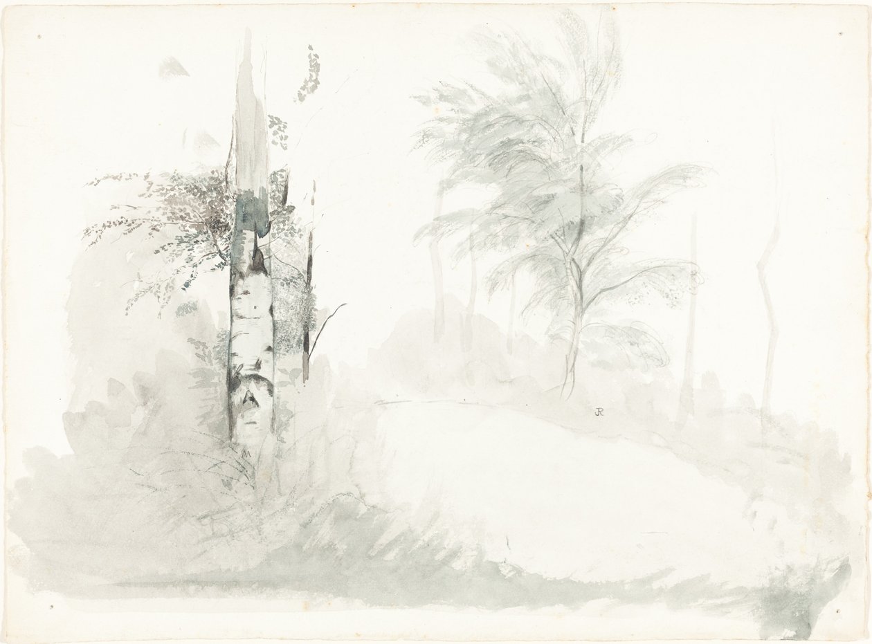 Fa tanulmány alkotó: John Ruskin