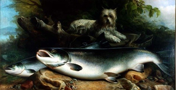 A napi fogás őrzése; egy Skye terrier kakassal és tyúkkal alkotó: John Russell
