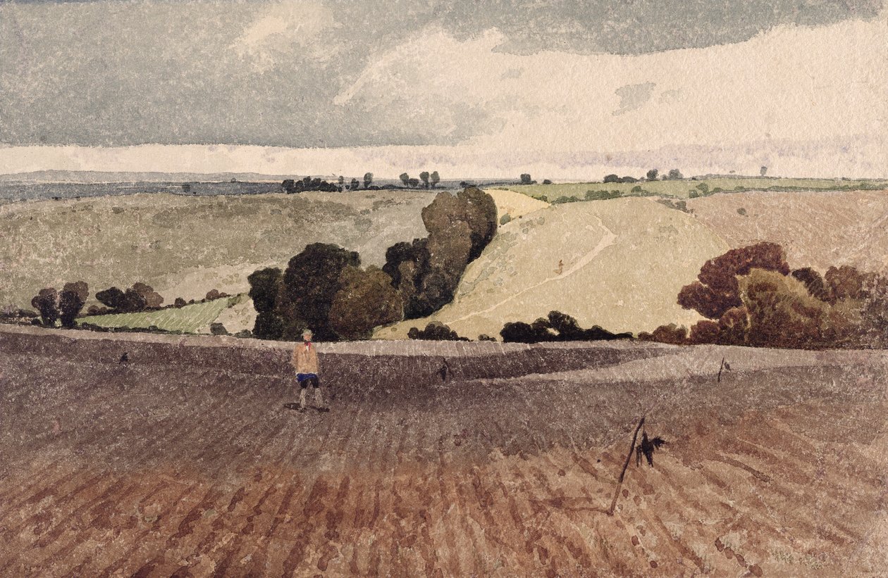 Felszántott mező, 1808 körül (ceruza és akvarell, papír) alkotó: John Sell Cotman