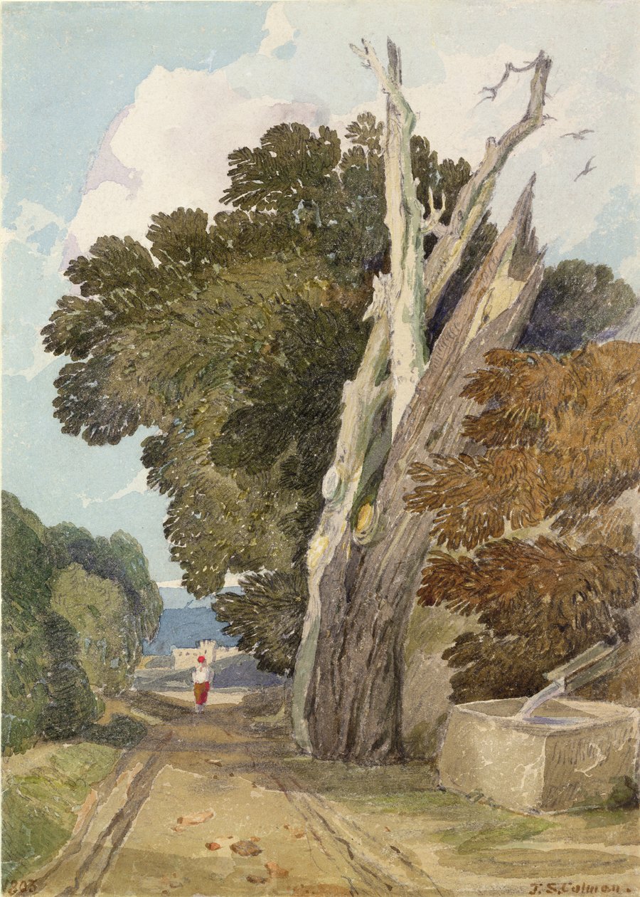 Villámcsapású spanyol gesztenyefa (wc és ceruza papíron) alkotó: John Sell Cotman