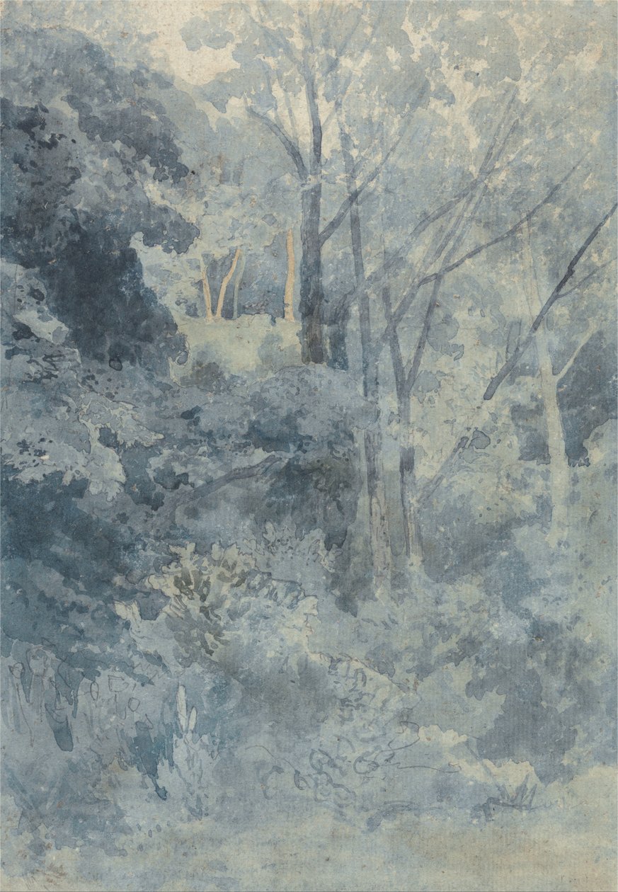 A Rokeby Parkban alkotó: John Sell Cotman