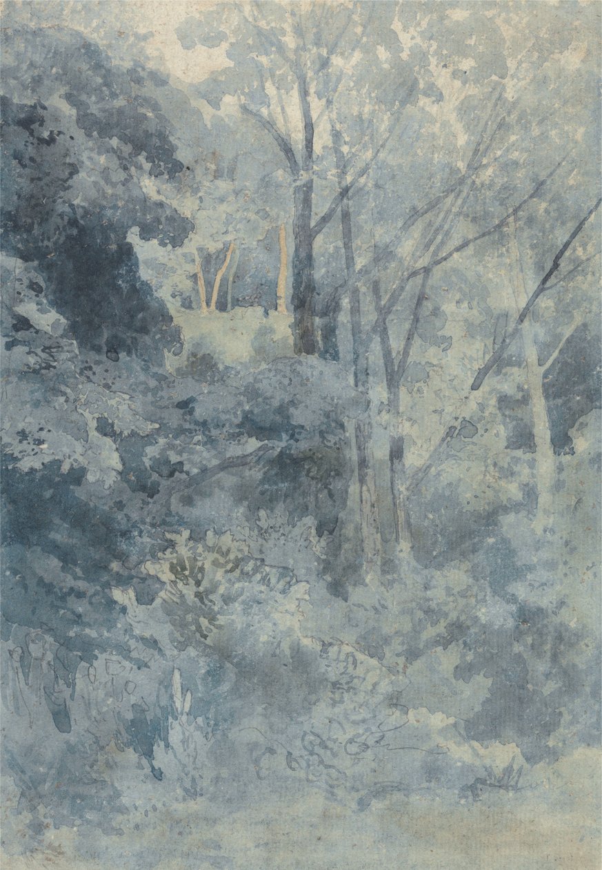 A Rokeby Parkban alkotó: John Sell Cotman