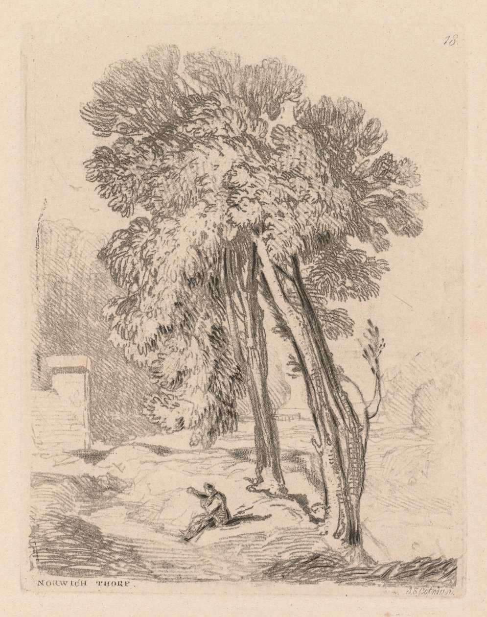 Liber Studiorum: Plate 18, Trees at Norwich Thorp, Norfolk alkotó: John Sell Cotman