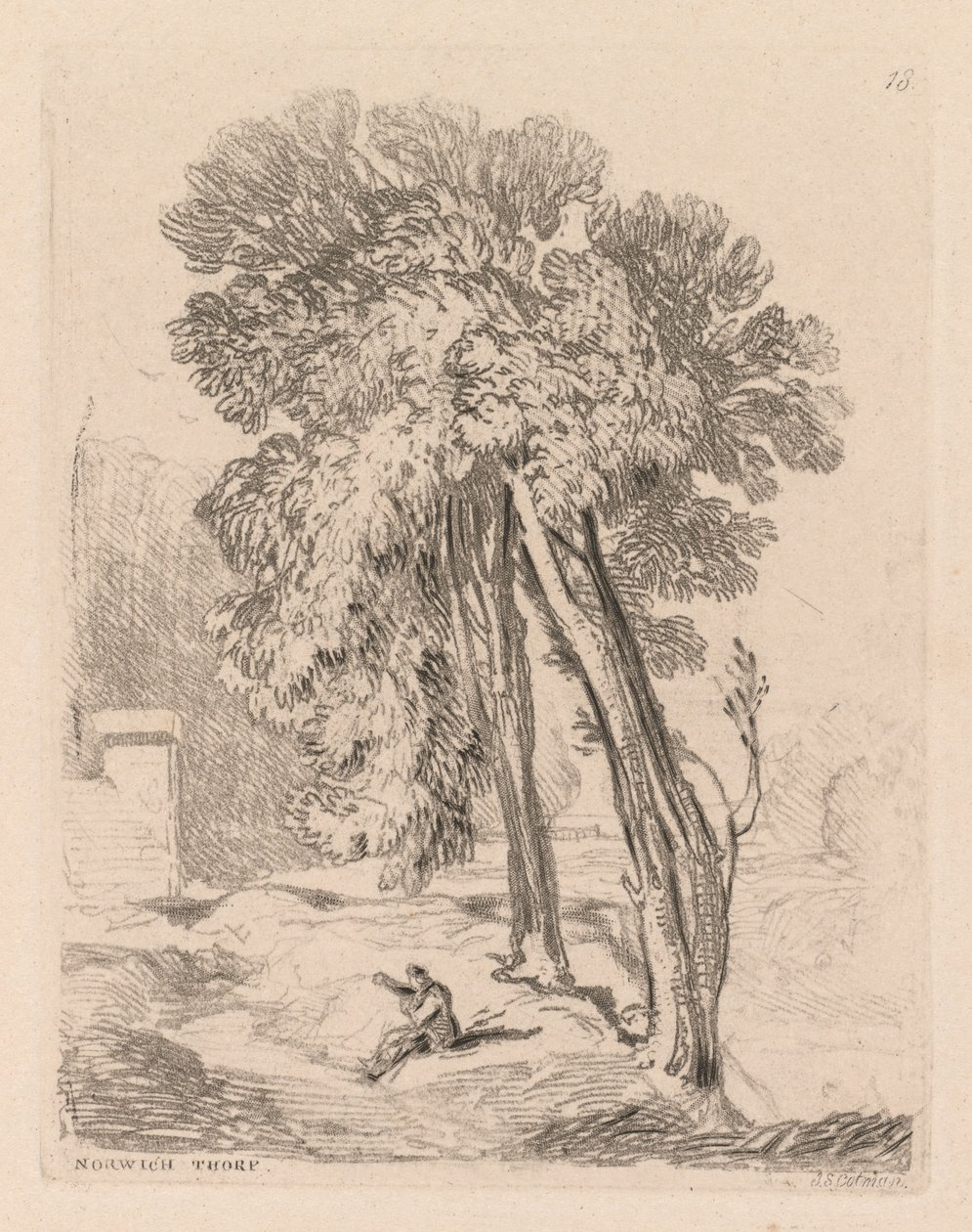 Liber Studiorum: Plate 18, Trees at Norwich Thorp, Norfolk, 1838. alkotó: John Sell Cotman