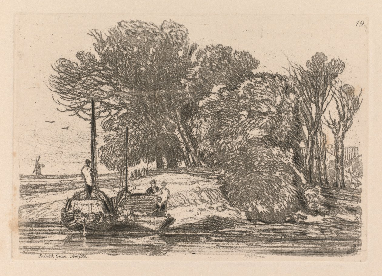 Liber Studiorum: Plate 19, Postwick Grove, Norfolk, 1838 alkotó: John Sell Cotman
