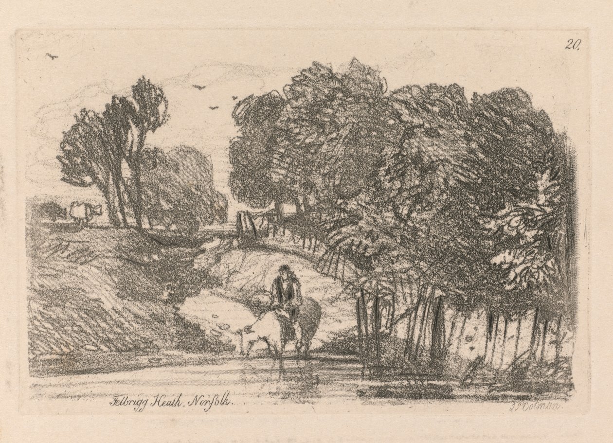 Liber Studiorum: Plate 20, Felbrigg Heath, Norfolk alkotó: John Sell Cotman