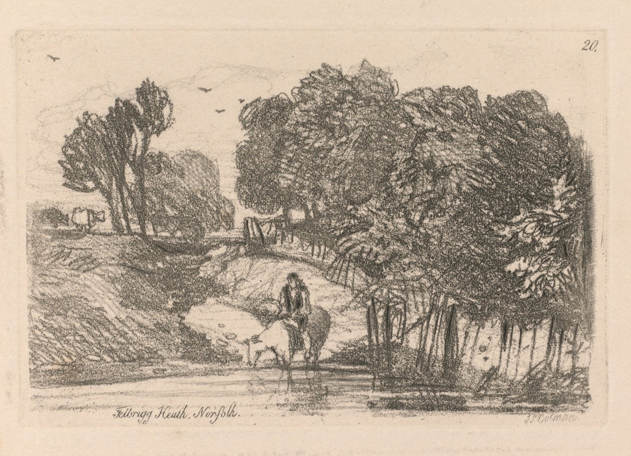 Liber Studiorum: Plate 20, Felbrigg Heath, Norfolk, 1838 alkotó: John Sell Cotman