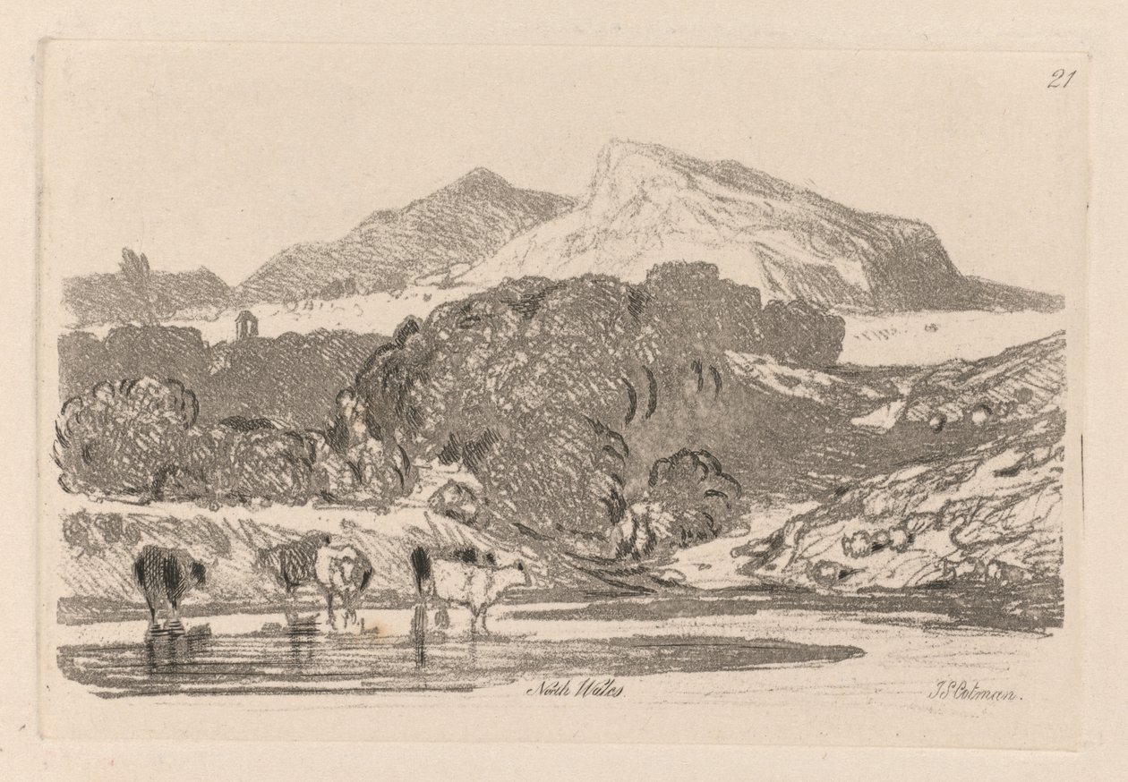 Liber Studiorum: Plate 21, View in North Wales alkotó: John Sell Cotman