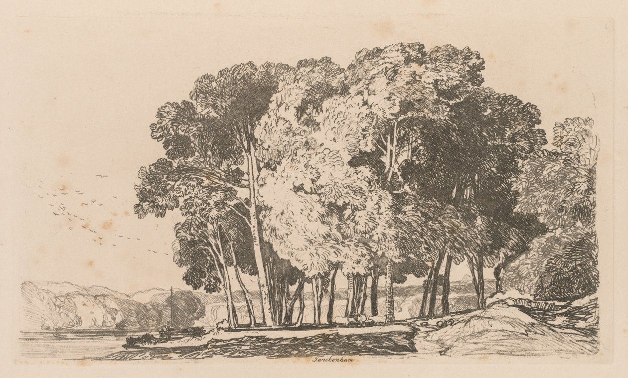 Liber Studiorum: 3. tábla, Fák Twickenham közelében alkotó: John Sell Cotman