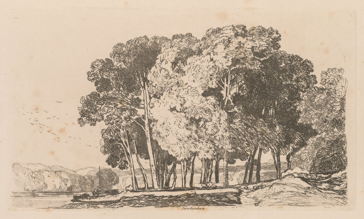 Liber Studiorum: 3. tábla, Fák Twickenham közelében, 1838. alkotó: John Sell Cotman