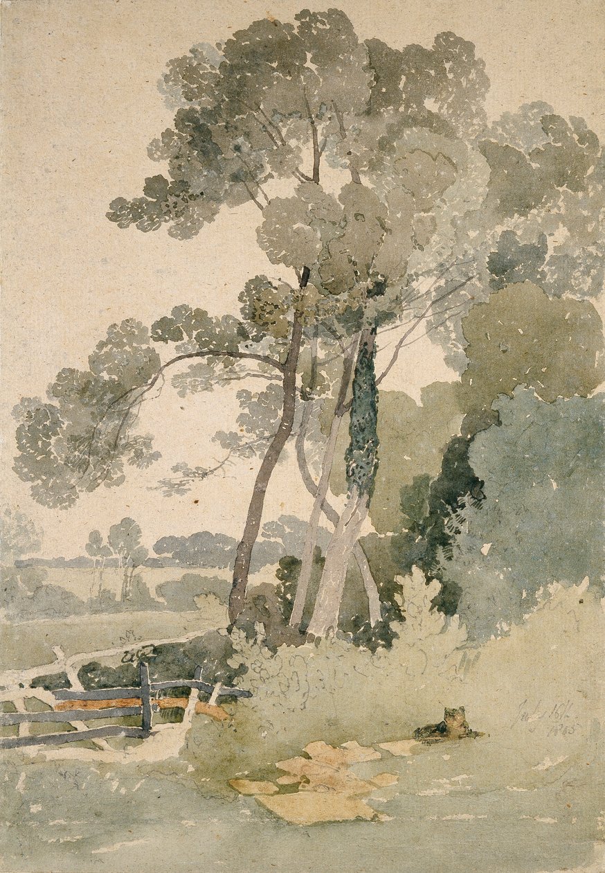 Brandsby közelében, Yorkshire államban, 1865 alkotó: John Sell Cotman