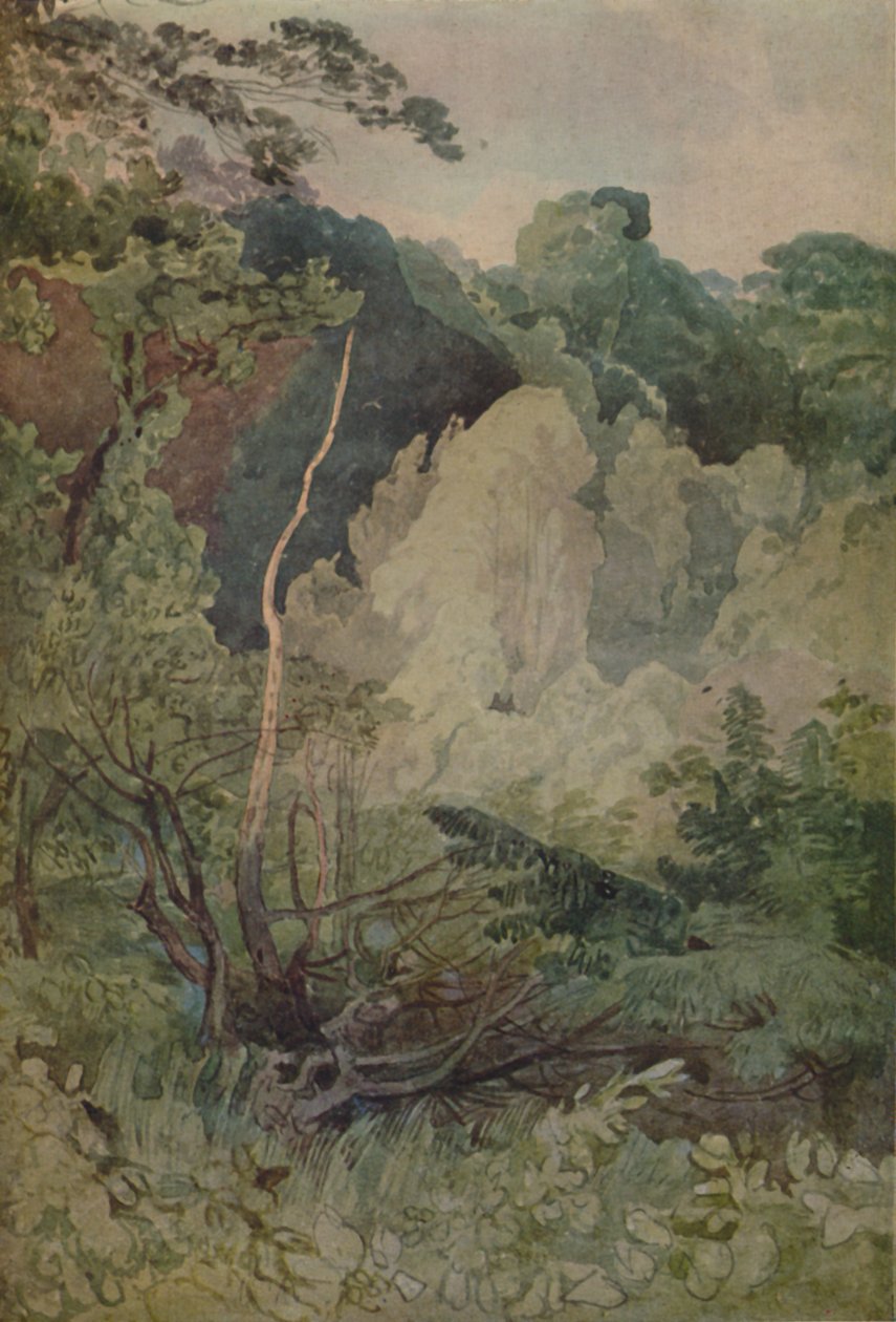 Fák a Greta folyó közelében, 1923 alkotó: John Sell Cotman