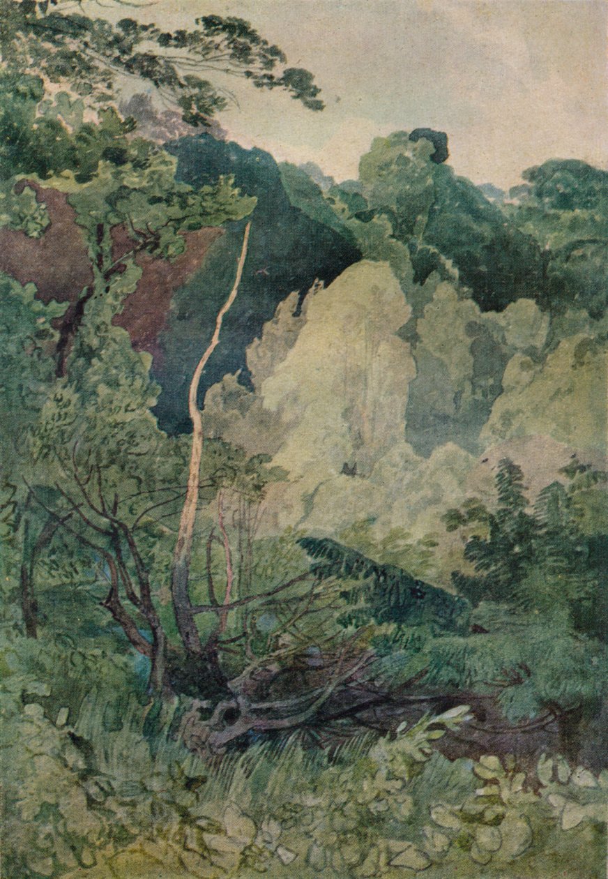 Fák a Greta folyó közelében, XIX. század alkotó: John Sell Cotman