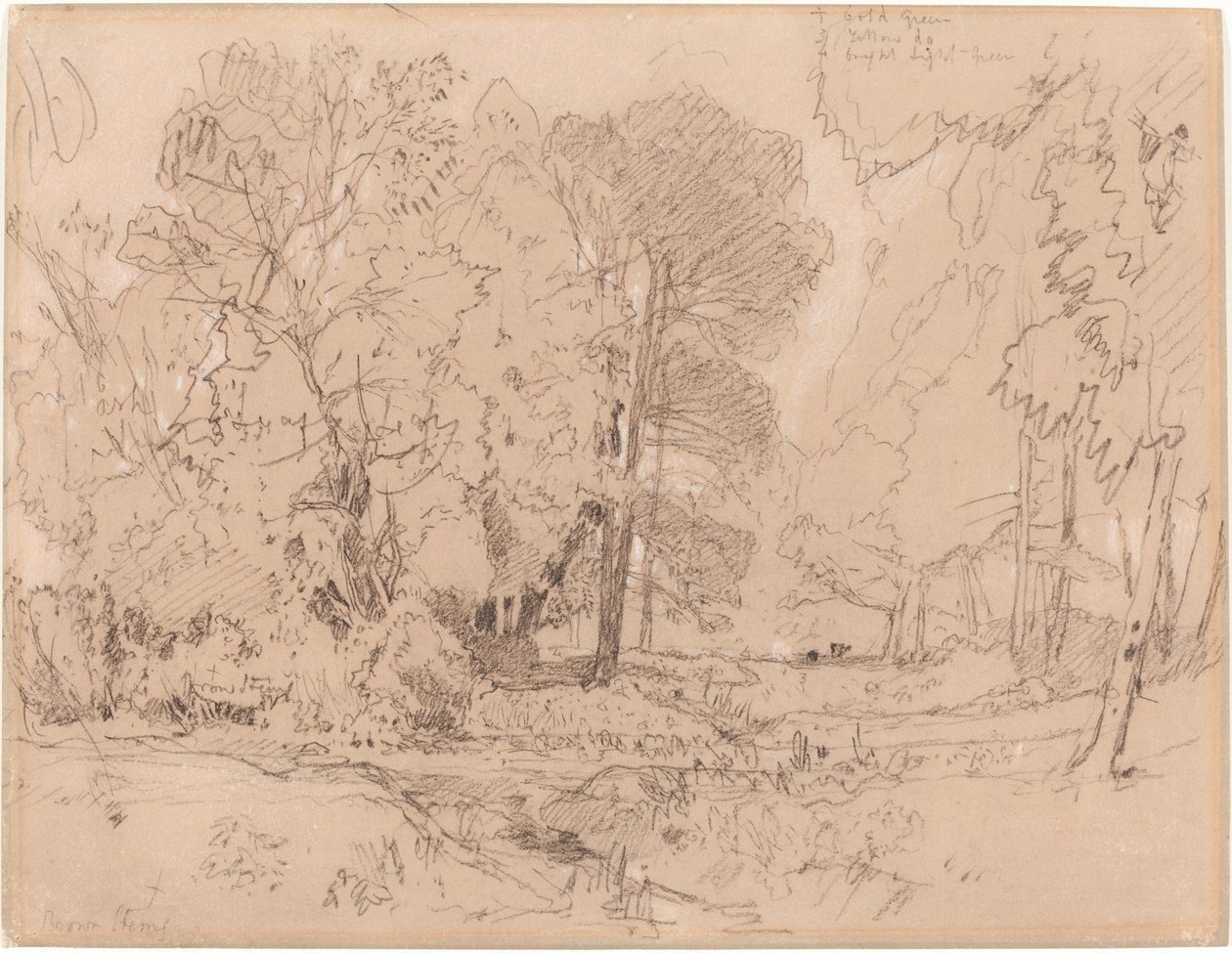 Erdős Táj alkotó: John Sell Cotman