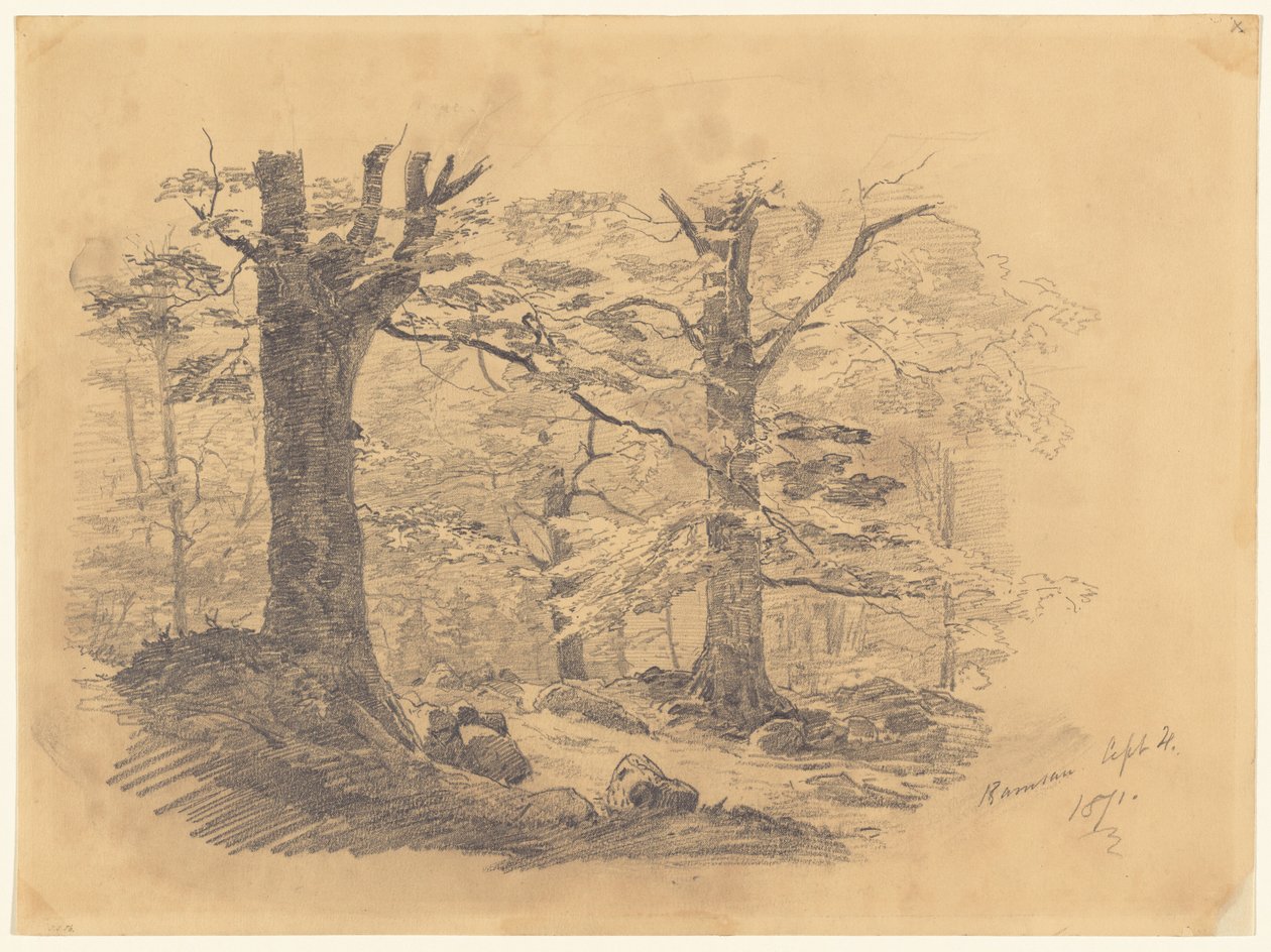 Forest, Ramsau, Németország, 1871. alkotó: John Singer Sargent