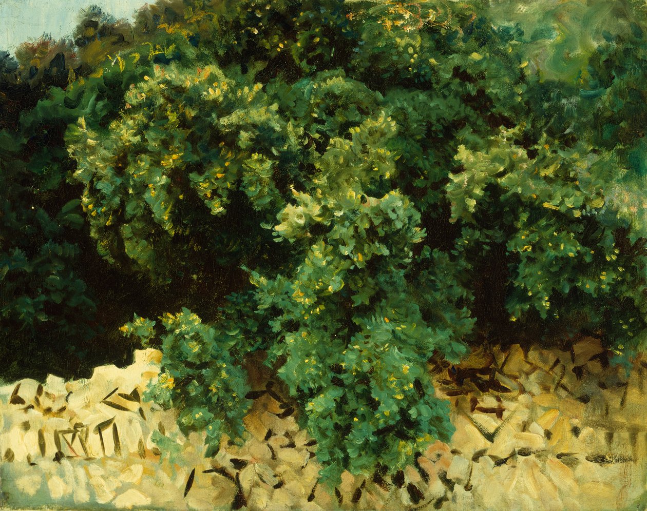 Ilex Wood, Mallorca alkotó: John Singer Sargent