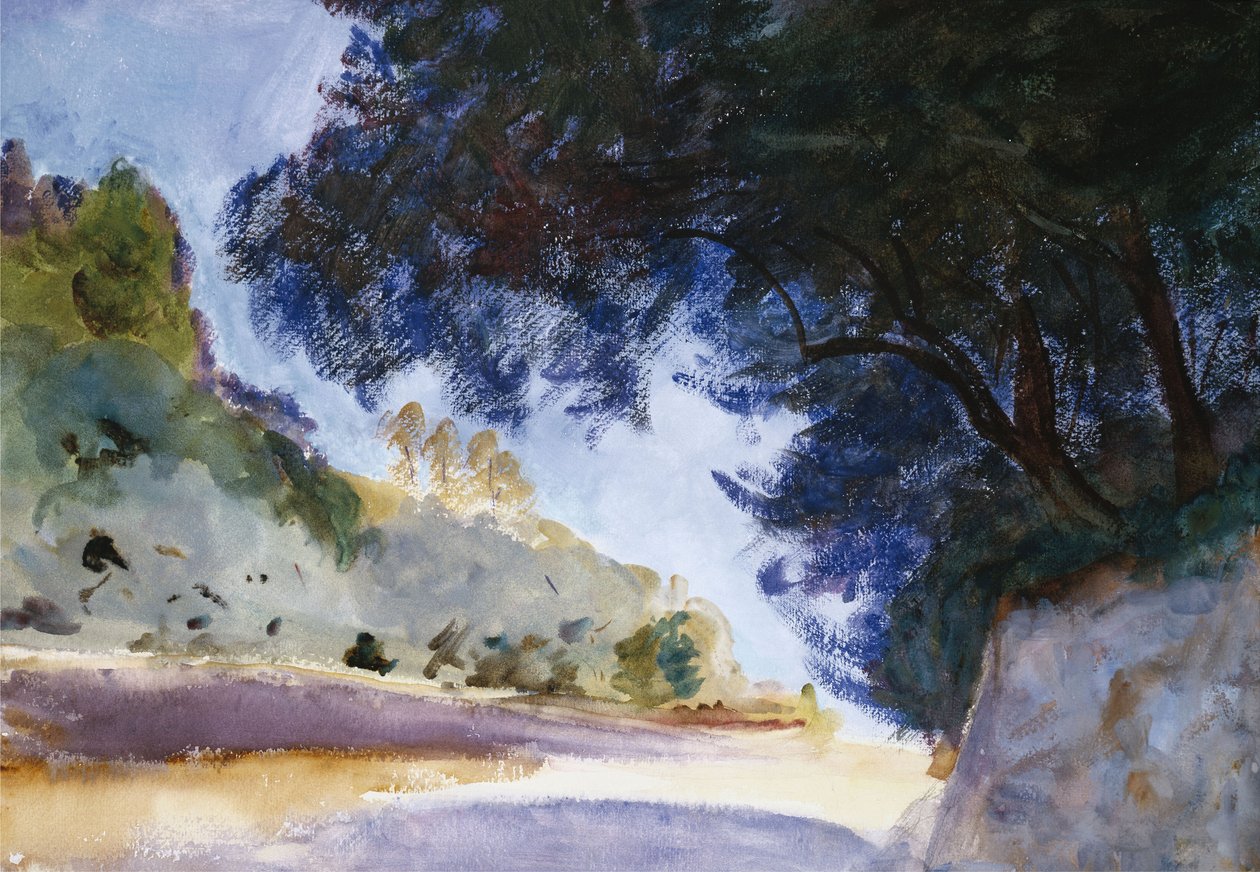 Táj, olajfák, Korfu, 1909 alkotó: John Singer Sargent