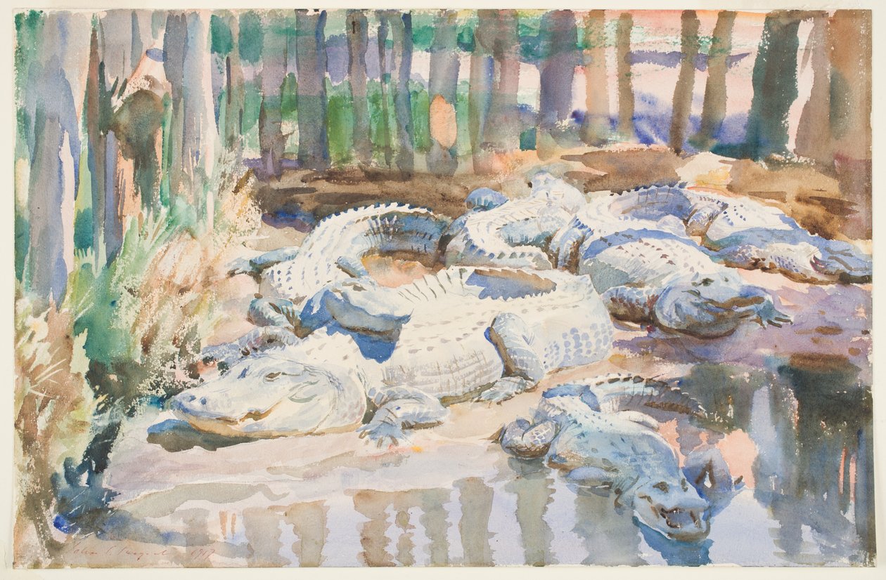 Muddy Alligators, 1917 (wc grafit felett, papíron) alkotó: John Singer Sargent