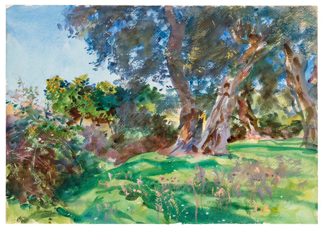 Olajfák, Korfu alkotó: John Singer Sargent