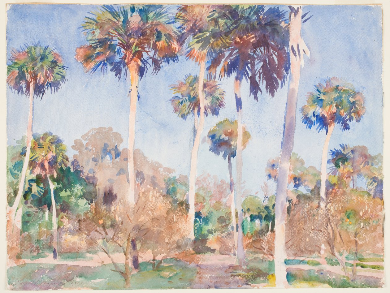 Pálmák, 1917 (wc grafit felett, papíron) alkotó: John Singer Sargent