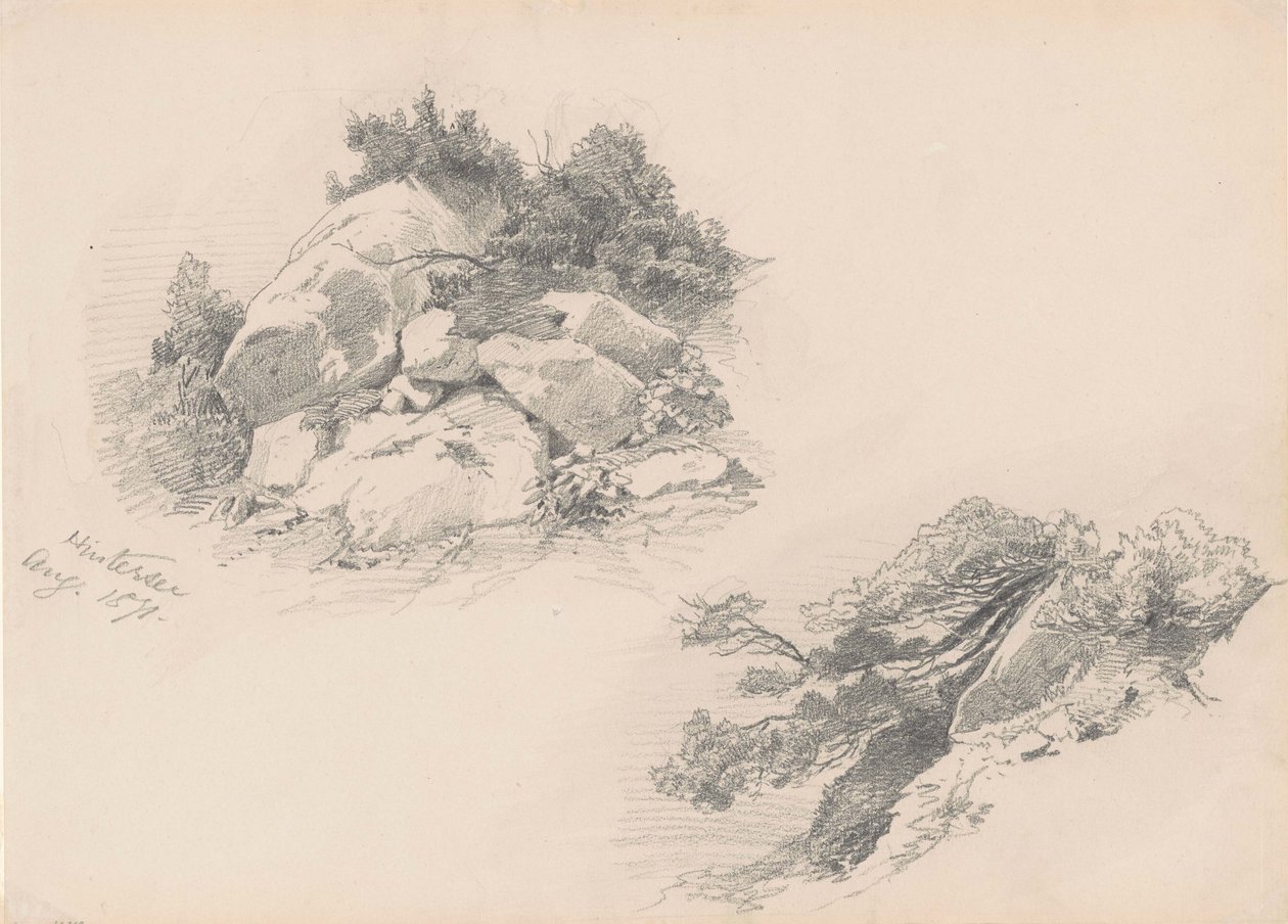 Rocks and Brush, Hintersee, Németország, 1871 (grafit, fonott papíron) alkotó: John Singer Sargent
